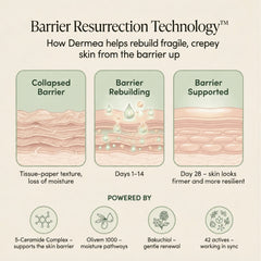 Barrier Resurrection Technology explained