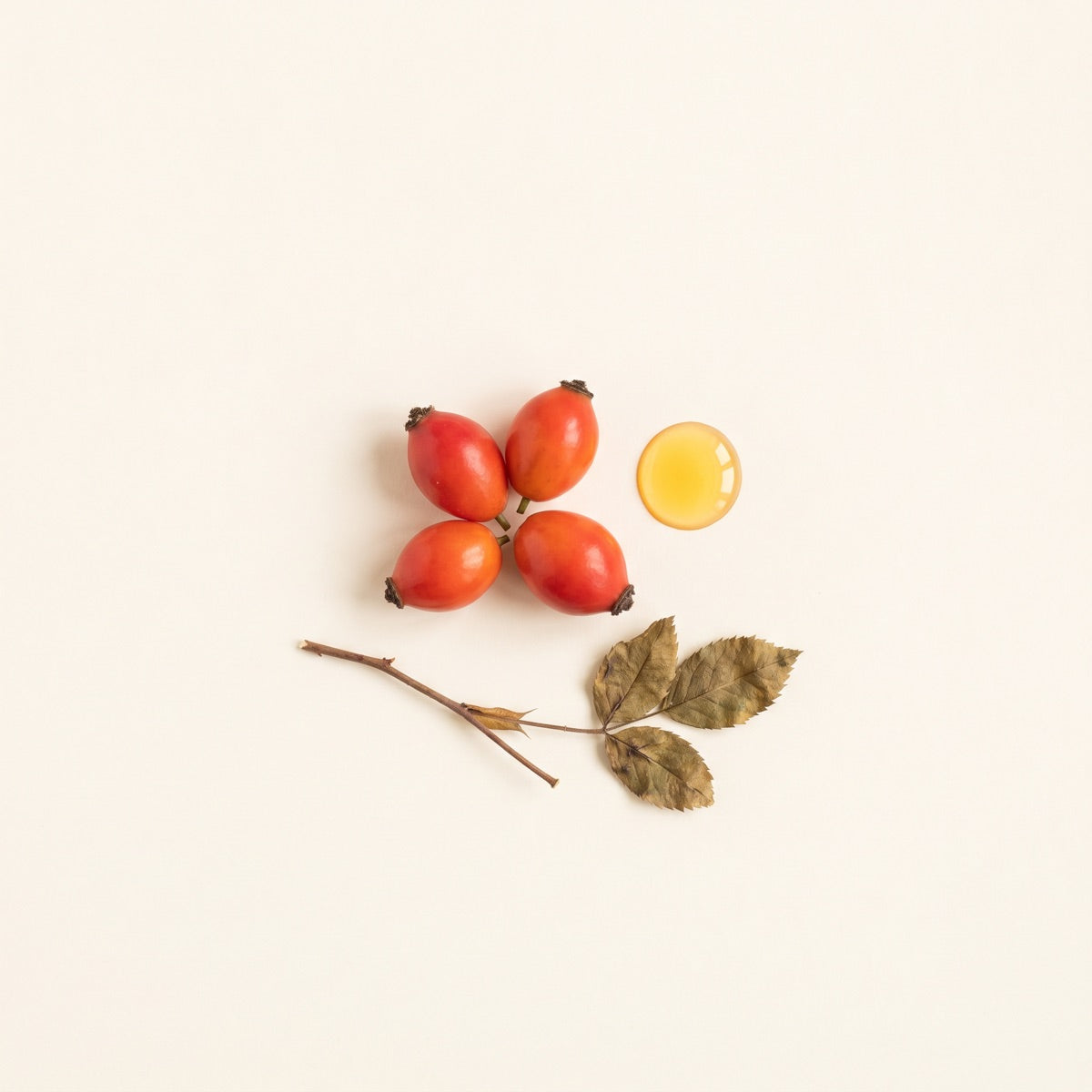 Rosehip Seed Oil
